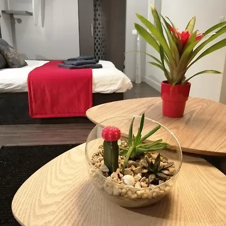 The Romantic Waterloo Lion's 3*